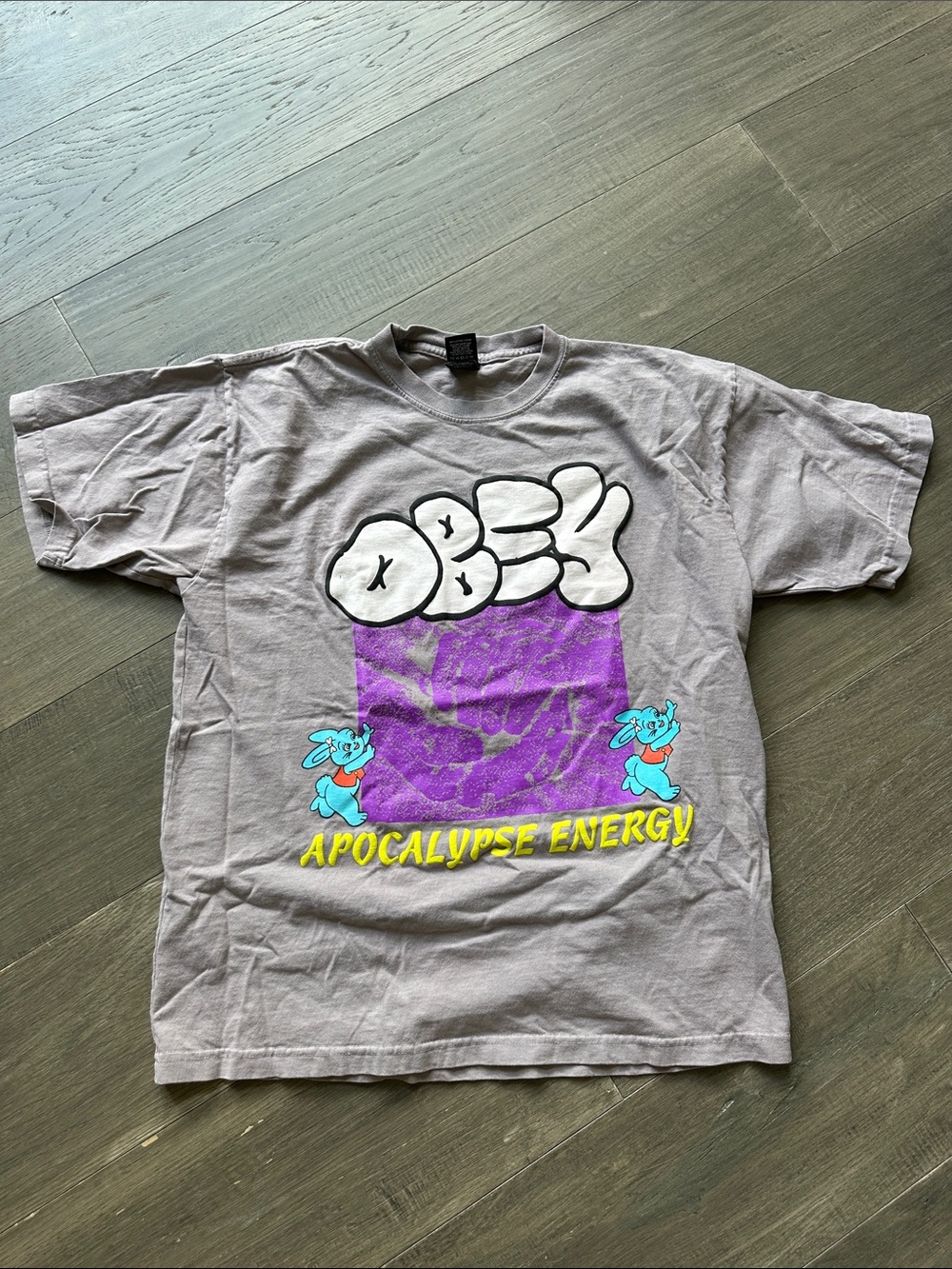 Men’s Gray 'Apocalypse Energy' Graphic Tee with Purple Print